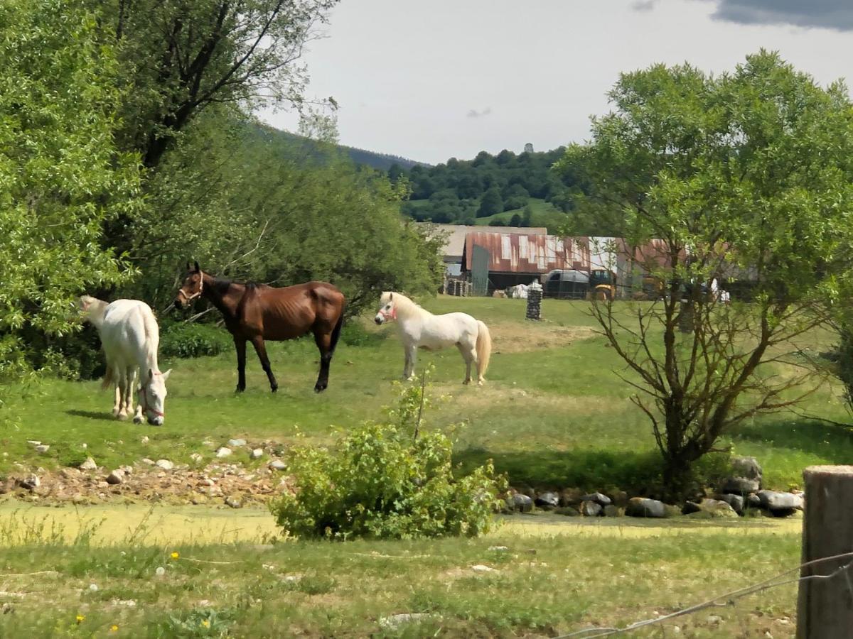 Zazi Apartmany Mýto pod Ďumbierom Exterior foto