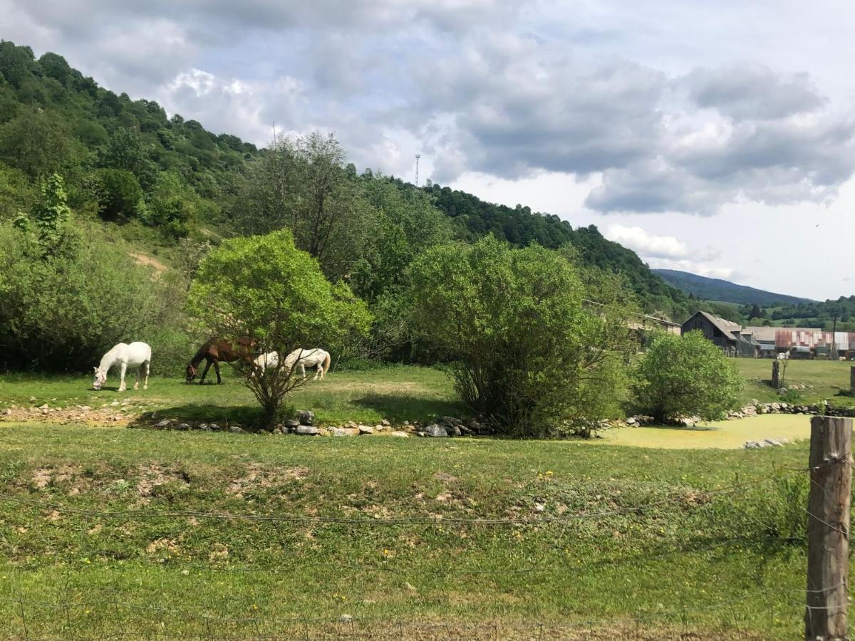 Zazi Apartmany Mýto pod Ďumbierom Exterior foto